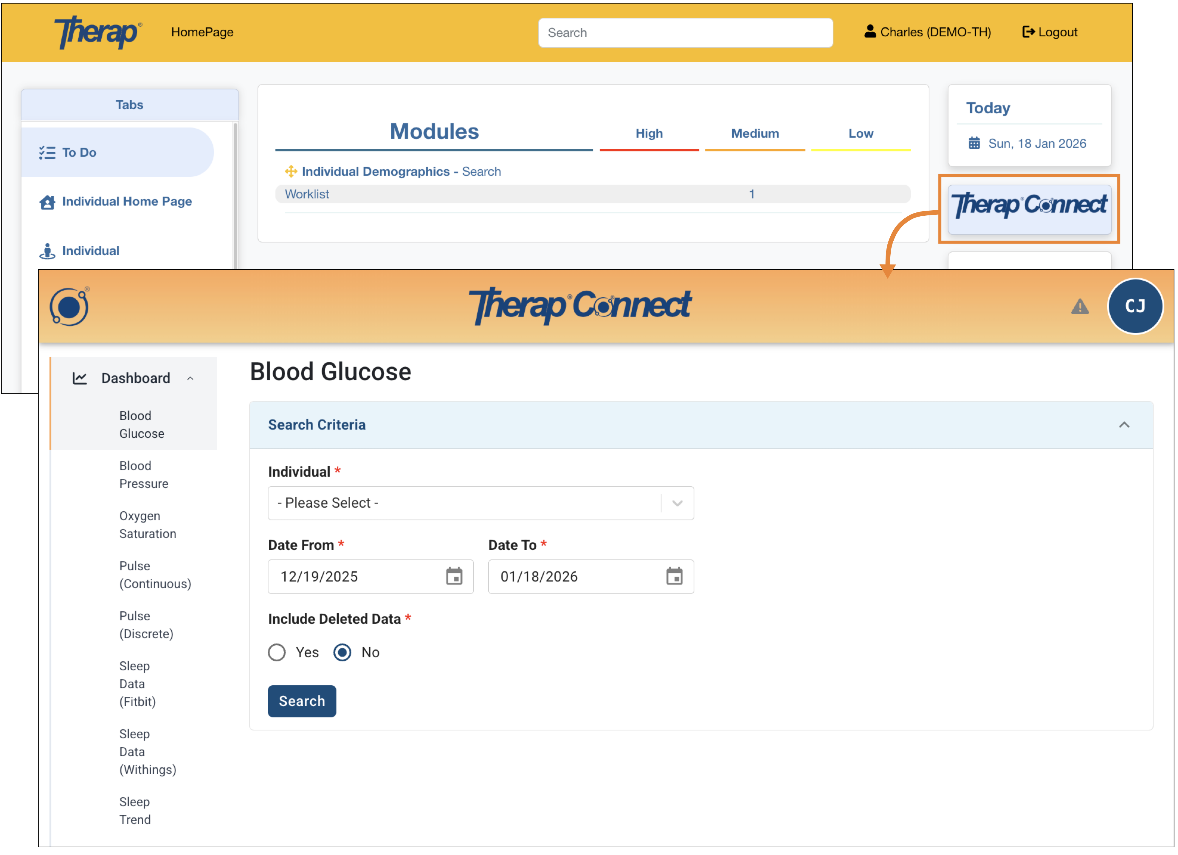 Screenshot of the Therap Connect button